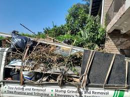 Best Residential Junk Removal  in Richton, MS